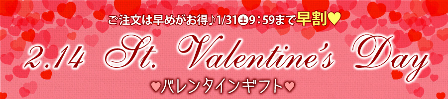 バレンタインチョコ　バレンタインチョコレート　バレンタイン プレゼント