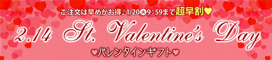 バレンタインチョコ　バレンタインチョコレート　バレンタイン プレゼント